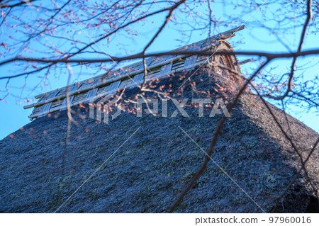 Thatched roof and dead leaves 97960016