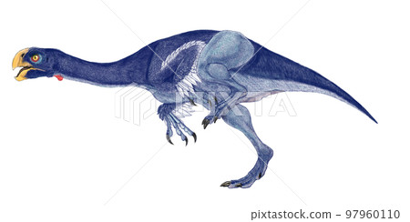 Conkoraptor Small seaside shell thief Conkoraptor Small seaside shell thief 97960110