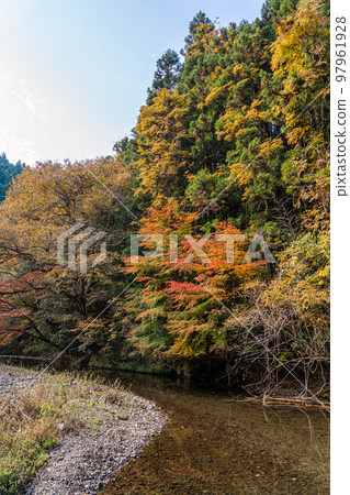 高野山秋葉 2022 高野山秋葉 2022 97961928