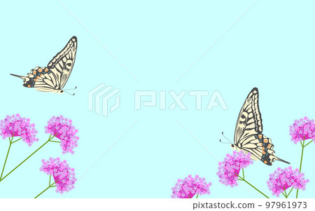 Swallowtail Butterfly and Three Measure Verbena 97961973