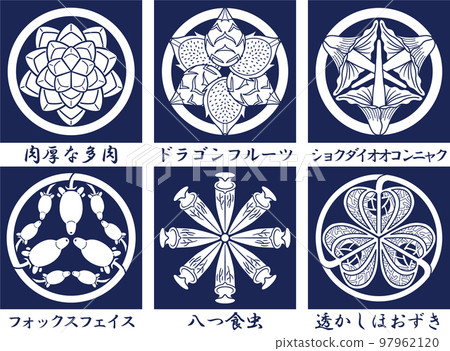 Botanical illustration with name Echeveria dragon fruit crest Botanical illustration with name Echeveria dragon fruit crest 97962120