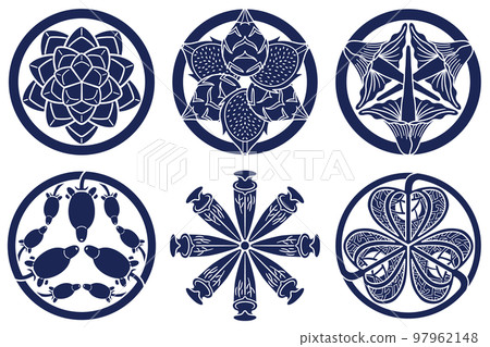 Botanical illustration Echeveria dragon fruit crest Botanical illustration Echeveria dragon fruit crest 97962148