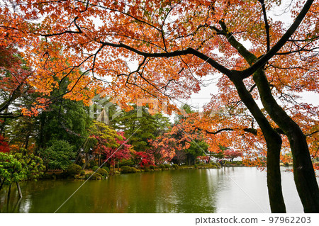 Autumn leaves of Kenrokuen in late autumn Autumn leaves of Kenrokuen in late autumn 97962203