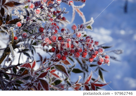 cold winter morning 97962746