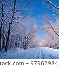Morning snow road and beautiful trees 97962984