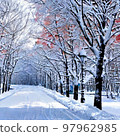 snowy road and beautiful trees 97962985