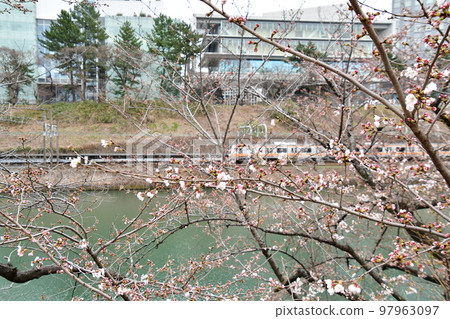 Somei Yoshino Sotobori Orange car Somei Yoshino Sotobori Orange car 97963097
