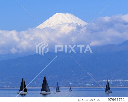 靜岡縣富士和帆船賽 11 月 97963731