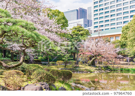 (Tokyo) Hibiya Park in spring (Tokyo) Hibiya Park in spring 97964760