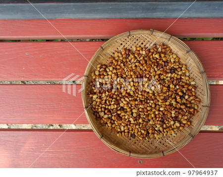 Parchment coffee in a wooden pan with gray and red wood panel in background, Group of Robusta coffee beans dry in the sun 97964937