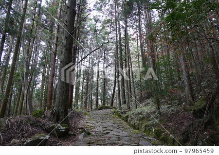 岐阜縣中山道落合石板路 岐阜縣中山道落合石板路 97965459