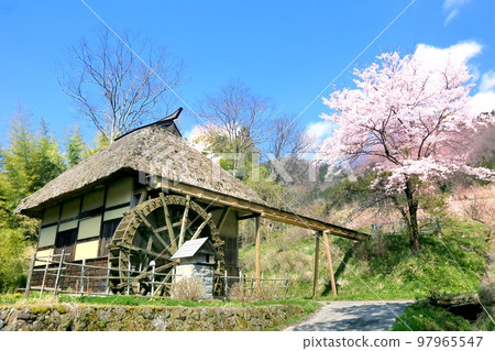 Water mill and cherry blossoms Water mill and cherry blossoms 97965547