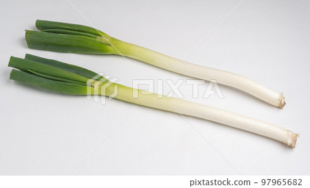 白洋蔥 97965682