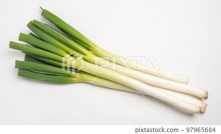 白洋蔥 白洋蔥 97965684