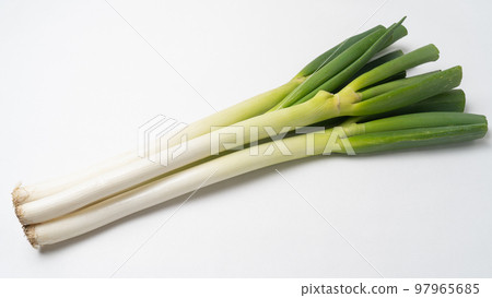 White onion White onion 97965685