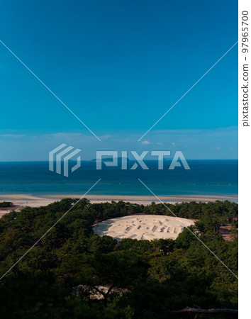 刻在瀨戶內海的有明海灘和伊吹島上的錢形砂苗 刻在瀨戶內海的有明海灘和伊吹島上的錢形砂苗 97965700