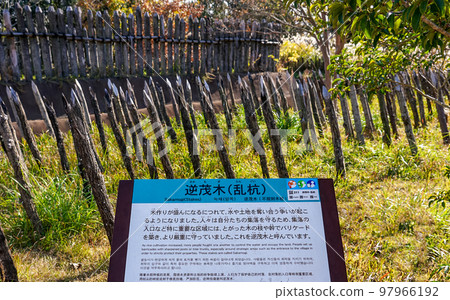 Abatis 信息板村防禦柵欄和 abatis(佐賀縣吉野裡歷史公園) Abatis 信息板村防禦柵欄和 abatis(佐賀縣吉野裡歷史公園) 97966192