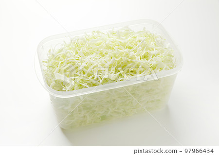 shredded cabbage in a storage container 97966434