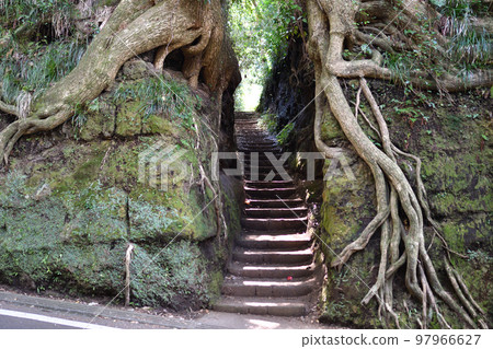 森祖切入 97966627