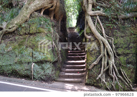 森祖切入 97966628