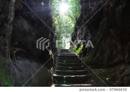 森祖切入 97966630