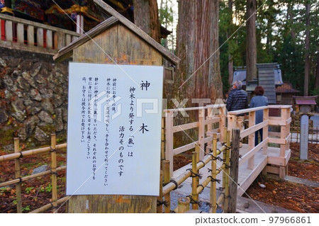 Mitsumine Shrine, Chichibu Three Shrines, Sacred Trees, Osugi, Sacred Trees Mitsumine Shrine, Chichibu Three Shrines, Sacred Trees, Osugi, Sacred Trees 97966861