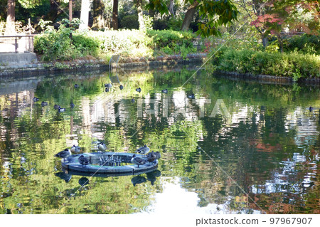 充滿自然風光的東京時尚公園 充滿自然風光的東京時尚公園 97967907