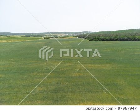 Aerial view on green wheat field in countryside. Field of wheat blowing in the wind like green sea. Young and green Spikelets. Ears of barley crop in nature. Agronomy, industry and food production. 97967947