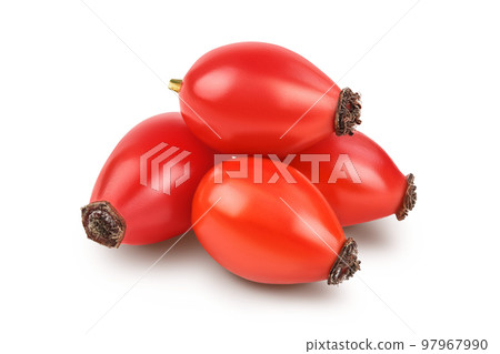 Rose hip isolated on a white background with full depth of field 97967990