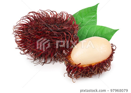 rambutan isolated on white background. Tropical fruit. Nephelium lappaceum rambutan isolated on white background. Tropical fruit. Nephelium lappaceum 97968079