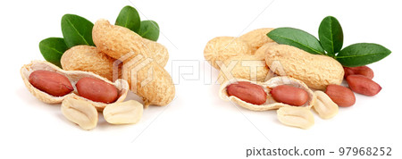 peanuts with leaf isolated on white background peanuts with leaf isolated on white background 97968252