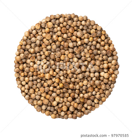 Coriander seeds, circle, close-up, isolated, from above. Disk made of whole dried fruits of Coriandrum sativum also known as Chinese parsley, dhania and cilantro, used as aromatic and flavorful spice. 97970585