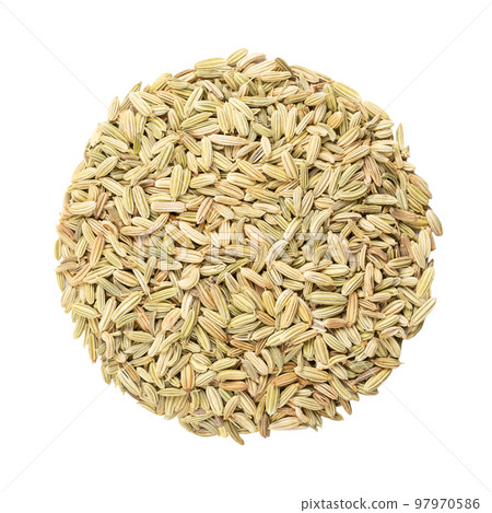 Fennel seeds, circle, close-up, isolated, from above. Disk made of whole dried fruits of Foeniculum vulgare. Aromatic and flavorful spice, culinary and medical used, and in preparation of absinthe. Fennel seeds, circle, close-up, isolated, from above. Disk made of whole dried fruits of Foeniculum vulgare. Aromatic and flavorful spice, culinary and medical used, and in preparation of absinthe. 97970586