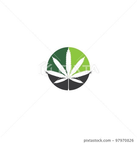 Cannabis leaf logo 97970826