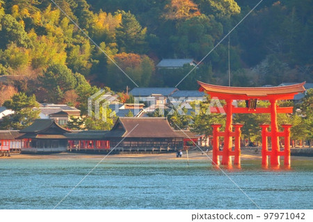 [Hiroshima Prefecture] Otorii of Miyajima, one of the three most scenic spots in Japan after the completion of repair work 97971042