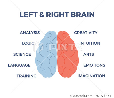 Infographic about human brain with left and right hemisphere flat style 97971434