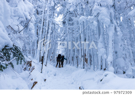 北八岳 Snow Hike 島離山 97972309