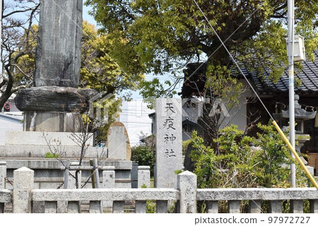 Sone Tenken Shrine in Spring Sone Tenken Shrine in Spring 97972727