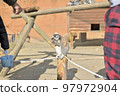 Wolverine lemur 97972904