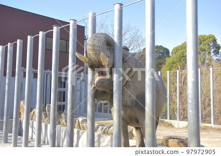 Elephants Elephants 97972905