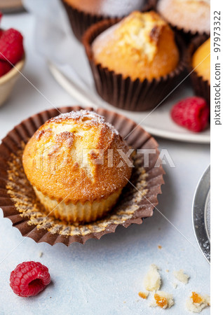Homemade sweet muffins with fresh berries. Close up sweet treat. Homemade sweet muffins with fresh berries. Close up sweet treat. 97973322