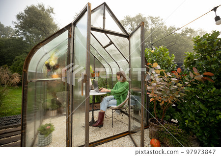 Woman works remotely on laptop in glasshouse at backyard 97973847