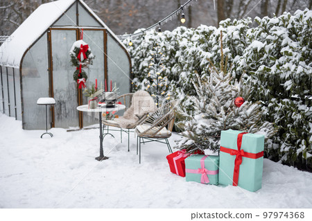 Beautifully decorated backyard for winter holidays Beautifully decorated backyard for winter holidays 97974368