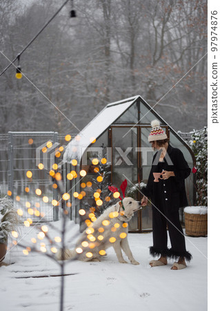 Woman plays with her dog on snowy backyard Woman plays with her dog on snowy backyard 97974876