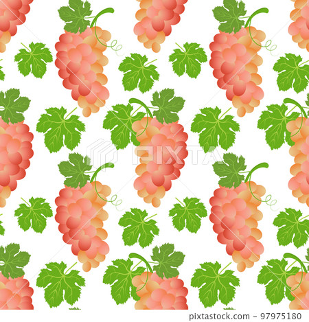 Seamless pattern, grapes and grape leaves. Fruit background, print, vector 97975180