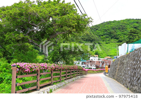 Wind Hill, Geoje Island, Windmill, Hill, Garden, Beach, Mountain, Wind, 97975418