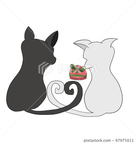 cat giving chocolate cat giving chocolate 97975811