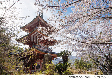 Choonzan Kojoji,生口島,廣島尾道旅遊景點,櫻花和三層寶塔,瀨戶內海國立公園 Choonzan Kojoji,生口島,廣島尾道旅遊景點,櫻花和三層寶塔,瀨戶內海國立公園 97975833