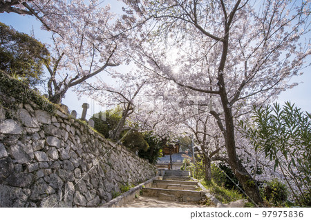 Choonzan Kojoji, Ikuchijima, Hiroshima Tourist Spot, Setonaikai National Park 97975836