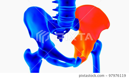 Human skeleton anatomy for medical concept 3D illustration with blue and orange color combination Human skeleton anatomy for medical concept 3D illustration with blue and orange color combination 97976119